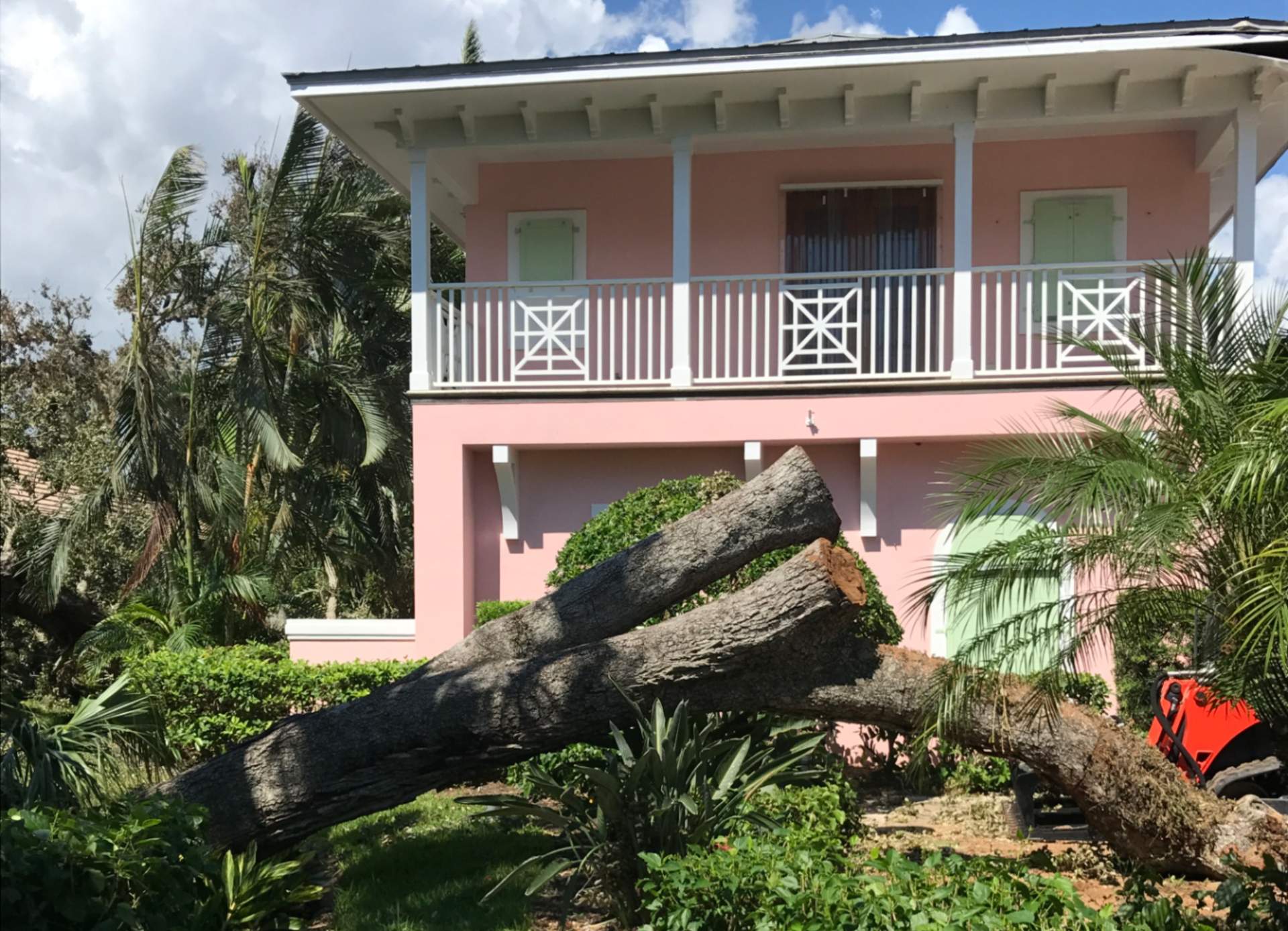 Downed tree chopped up in front of house