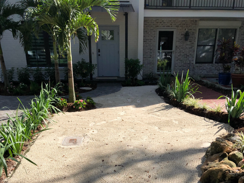 House view from the front with a palm tree